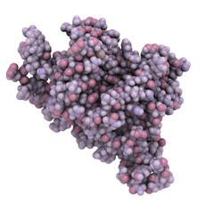 Interleukin 6 (IL-6) molecule, chemical structure