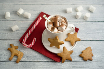 Hot cocoa with ginger cookies for Santa Claus.