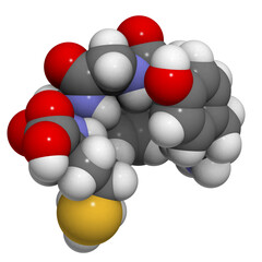 Enkephalin (Met-enkephalin) molecule.