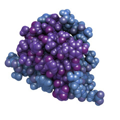 Insulin peptide hormone, chemical structure. Important drug in treatment of diabetes. Shown in het hexameric form, bound to zinc ions.