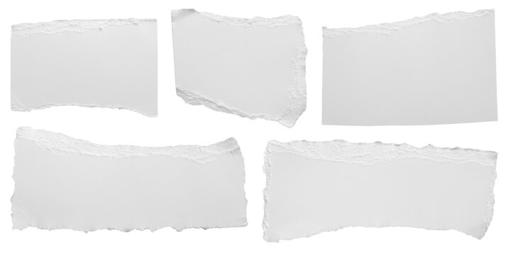 Ripped Paper PNG - Ripped Paper Edge, Ripped Paper Photoshop, Ripped Paper  Font. - CleanPNG / KissPNG