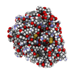 trypsin enzyme molecule, chemical structure.