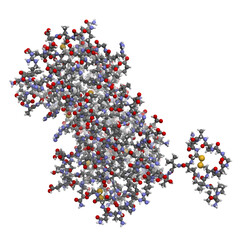 Human prolactin hormone (PRL, luteotropic hormone, LTH), chemical structure
