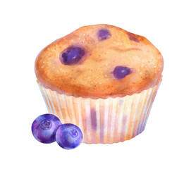 Vector watercolor illustration of Blueberry Muffin 