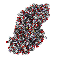 Alcohol dehydrogenase (ADH) enzyme molecule, chemical structure. - obrazy, fototapety, plakaty