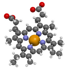 Heme B (haem B) molecule. Heme is an essential component of hemoglobin, myoglobin, cytochrome, catalase and other metalloproteins. 3D rendering.