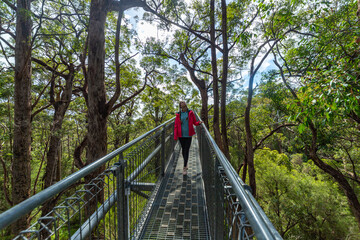 girl with ponytails admires nature walking on a bridge among the treetops; valley of the giants, western australia