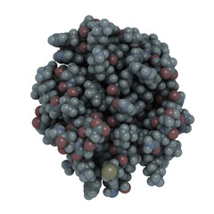 Growth factor receptor-bound protein 10 (Grb10, Grb-IR), chemical structure