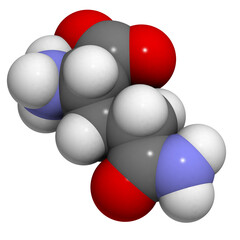 Glutamine (Gln, Q) amino acid, molecular model.