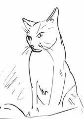 Cat looking down, minimal, ink illustration. Vector EPS 10.