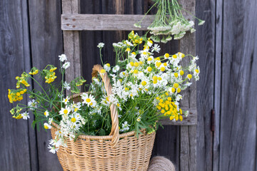 Medicinal herbs in basket on wooden background
