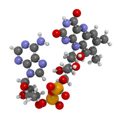 Flavin adenine dinucleotide (FAD) redox coenzyme molecule.
