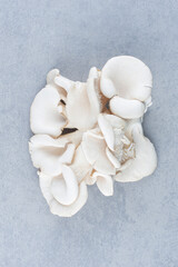 Fototapeta na wymiar Close up photo of Oyster mushroom on grey backgorund