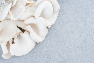 Close up photo of delicious organic oyster mushrooms
