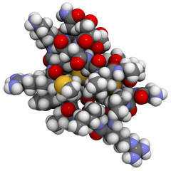 Squash trypsin Inhibitor EETI-II molecule, chemical structure.