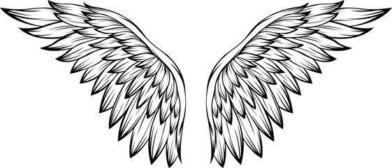 Bird wings vector illustration tattoo style. Hand drawn design element.