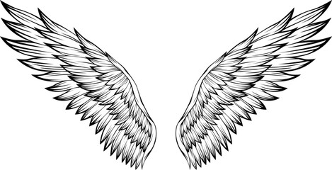 Bird wings vector illustration tattoo style. Hand drawn design element.