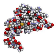 CXCL1 cytokine (AKA melanoma growth-stimulatory activity), chemical structure. Implicated in the pathogenesis of melanoma skin cancer.