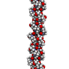 collagen model protein, chemical structure.