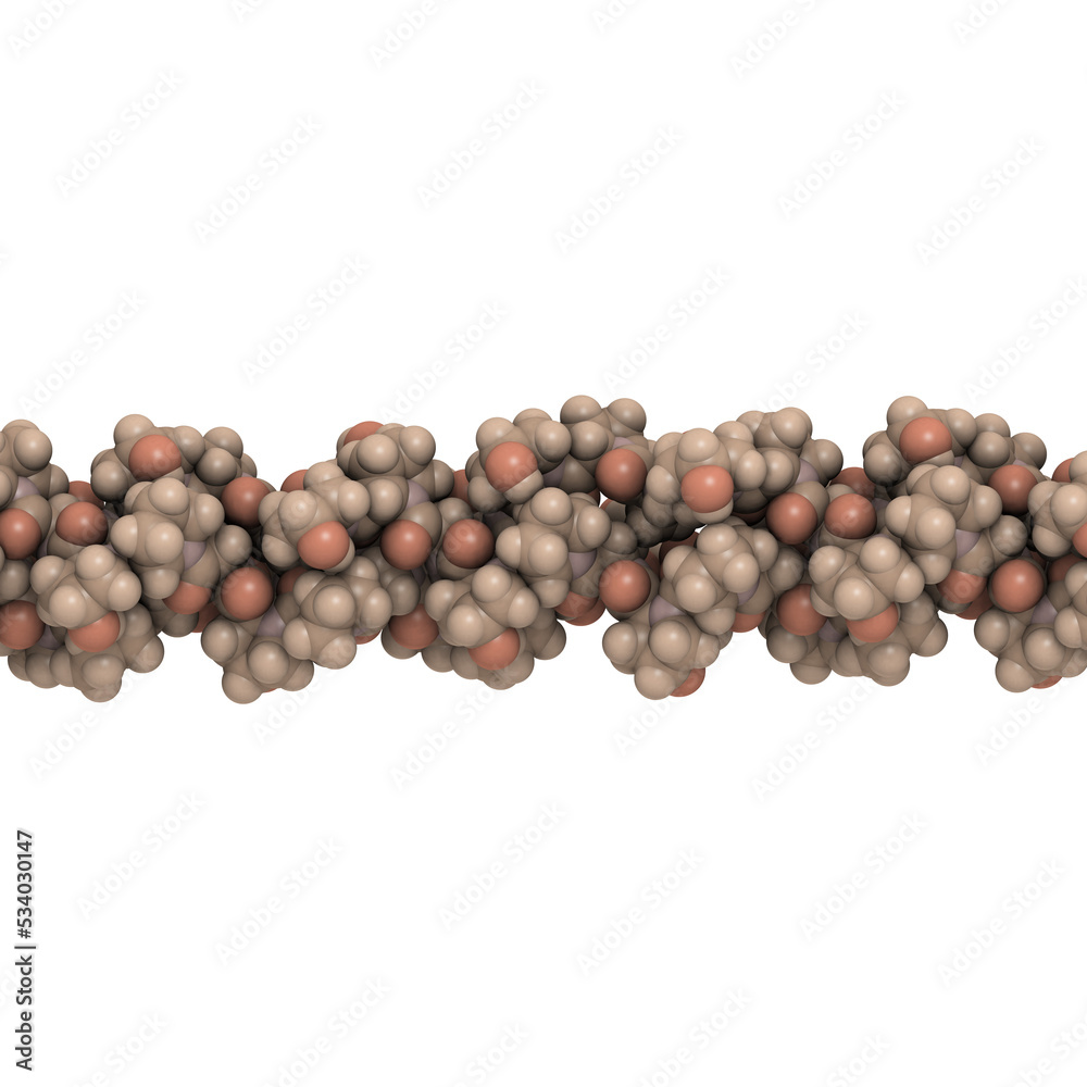 Wall mural collagen model protein, chemical structure.