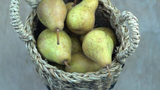 Pears in basket on a wooden background. Fruit harvest. Autumn still life. Pear variety Bera Conference. Vitamin food.