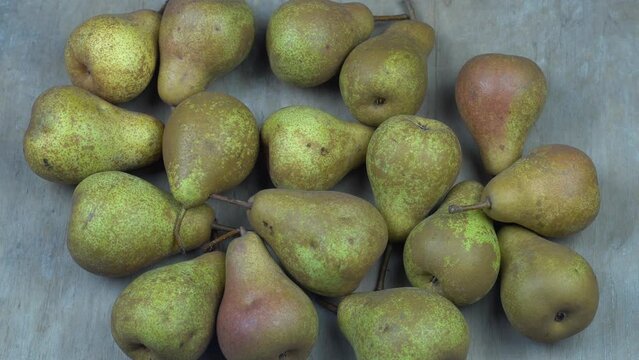 Pears on a wooden background. Fruit harvest. Autumn still life. Pear variety Bera Conference. Vitamin food