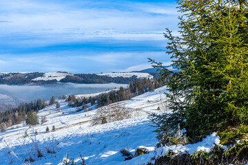 Panoramic view on Nord-East slopes of Polonina Borzhava from Izky village, Carpathian mountains, Ukraine