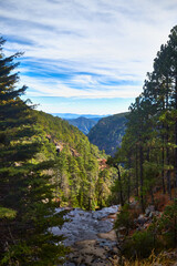 nature landscape with pine trees and mountains in the background, little river and clouds in the sky, mexiquillo durango, sierra madre occidental 