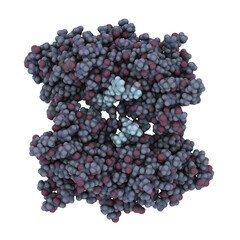 BRCA1 (BReast CAncer type 1 susceptibility, BRCT domain) DNA repair enzyme. Certain mutations in the BRCA1 gene are associated with increased breast cancer risk.