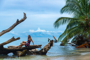girl in a dress sits on an overturned tree on a paradisiacal tropical beach in costa rica