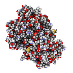 cyclic ADP ribose hydrolase (CD38) protein, chemical structure
