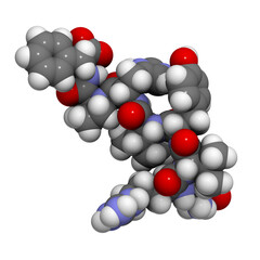 Angiotensin II (AII) peptide hormone, chemical structure