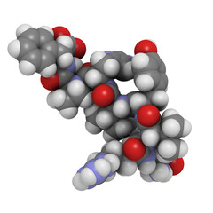 Angiotensin II (AII) peptide hormone, chemical structure