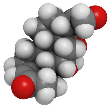 Aldosterone Mineralocorticoid Hormone, Molecular Model.