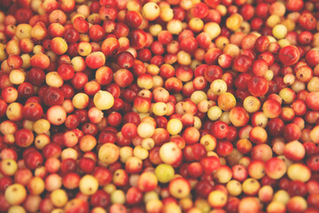 Fototapeta na wymiar Cranberries. Red and orange background of ripe juicy autumn berries.
