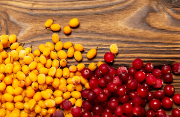 Cranberries and sea buckthorn. Red and orange background of ripe juicy autumn berries.