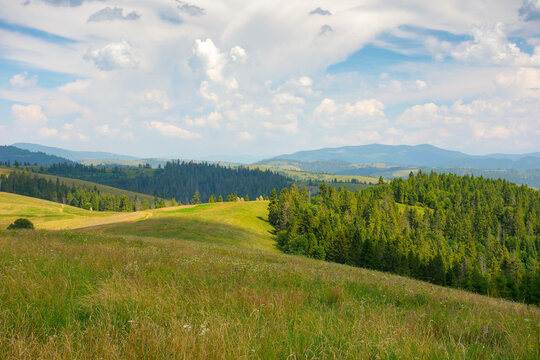 carpathian countryside landscape in summer. fields and forest on the rolling hill. mountain ridge in the distance beneath a sky with fluffy clouds in evening light