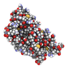 Human prion protein molecule (hPrP), chemical structure. hPrP is associated with transmissible spongiform encephalopathies, including Creutzfeldt-Jacob disease. Atoms as spheres, conventional coloring