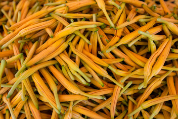 Dry orange flower harvest in the farm