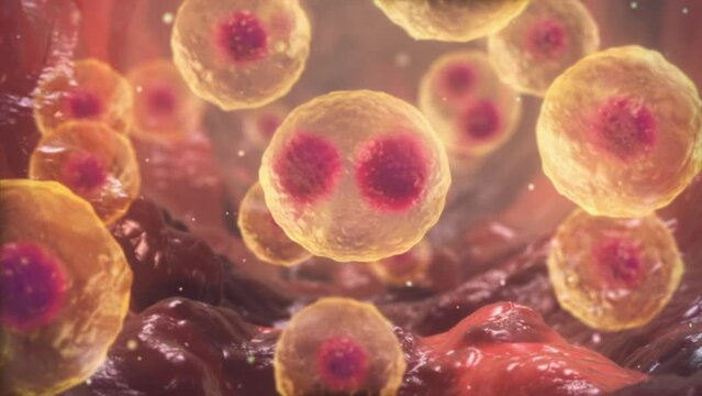 3D Animation of Cell division under a microscope. Cloning Cells. Cell mitosis concept. Inside Human Body