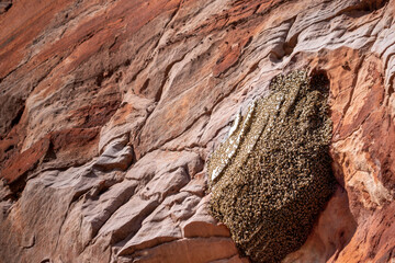 rock in the mountains