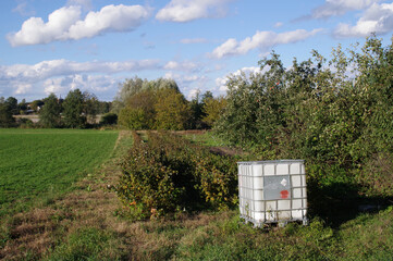 Uprawa przydomowej maliny. © Adam Sadlak