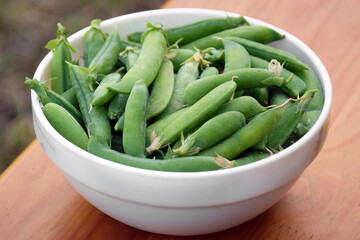 Green peas in a white plate on a wooden bench.