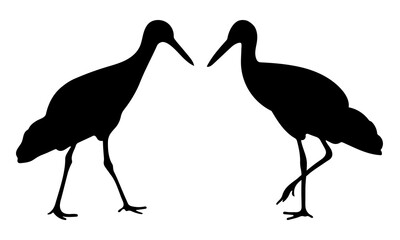 Bird stork shape, black silhouette of a stork, wildlife animal