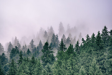 Misty mountain landscape