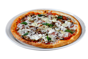 Pizza mozzarella and tomato roasted in the wood oven