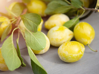 harvesting plums, fresh plums in bulk on a wooden table