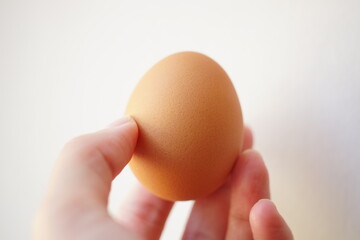 One brown chicken egg in a female hand on a white background