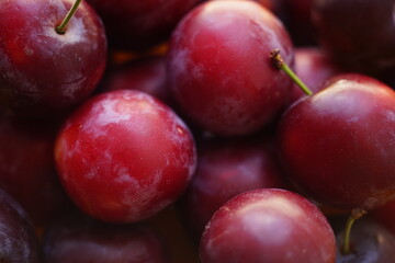 Red and purple plums background, fresh summer fruits