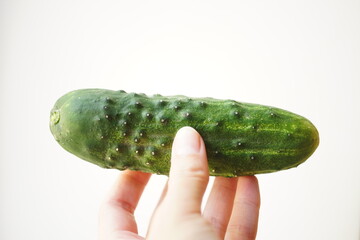 Ripe green cucucmber in human hand on white background